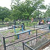 Добрынина Елена Юрьевна
