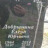 Добрынина Елена Юрьевна