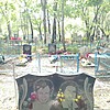 Старовит Игнат Яковлевич