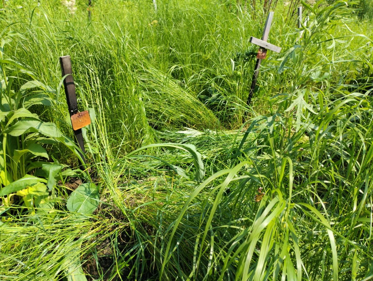 Неизвестно Неизвестно Неизвестно