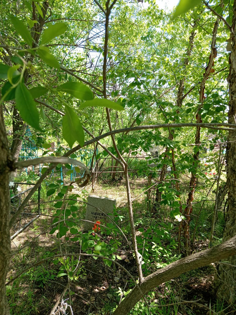 Кубарева Светлана Неизвестно