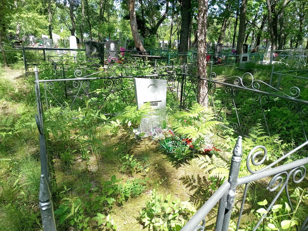 1eac1b11-a899-4309-9eb7-0825fa802271 Гулько Данил Андреевич