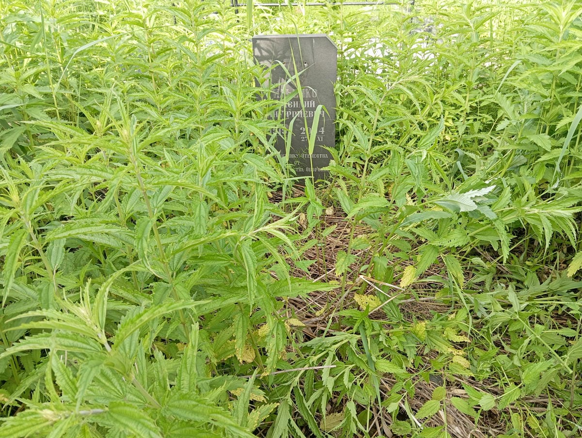 Ильенко Василий Ануфриевич