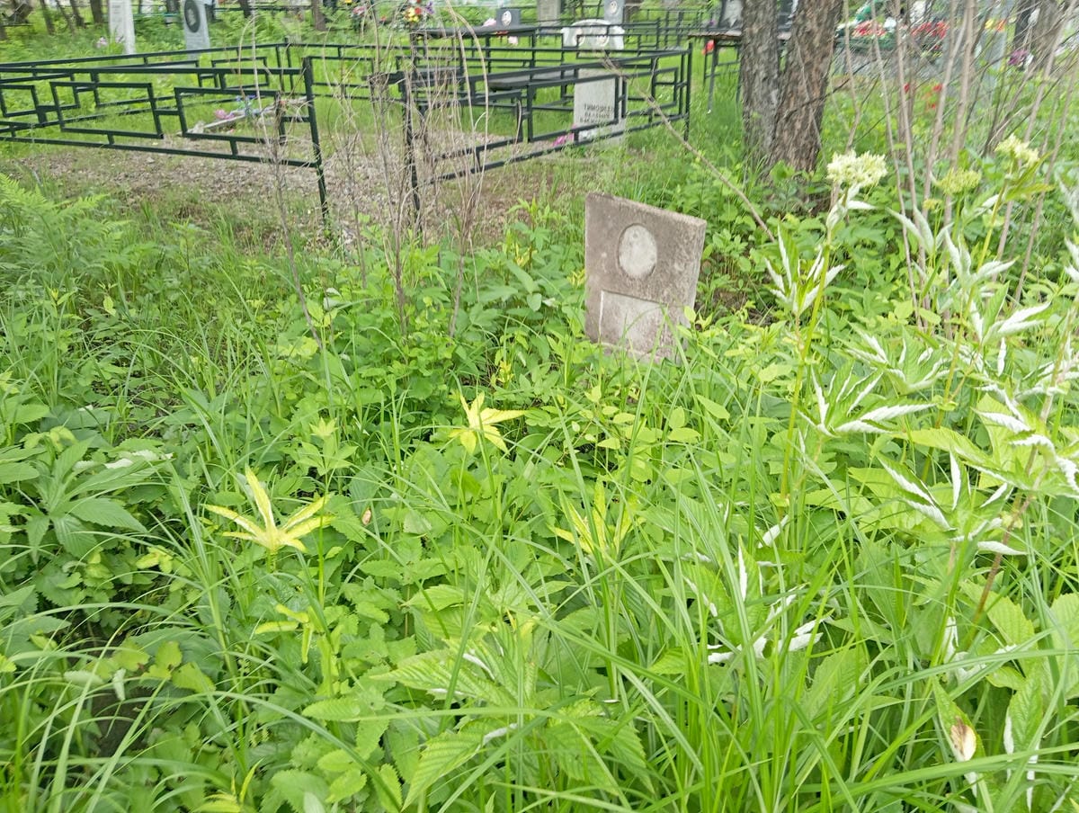 Неизвестно Неизвестно Неизвестно