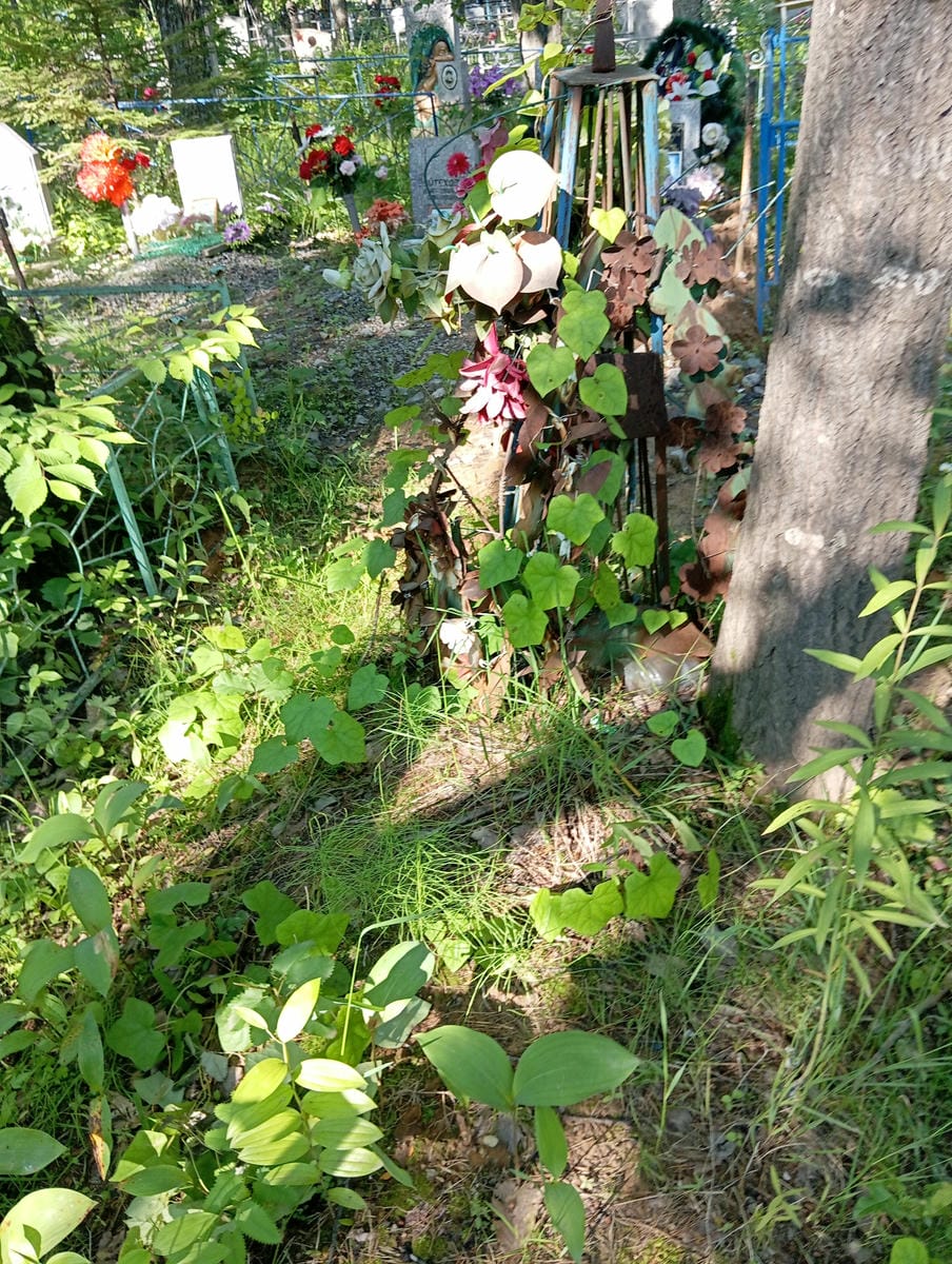 Неизвестно Неизвестно Неизвестно