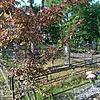 Колногоров Олег Викторович