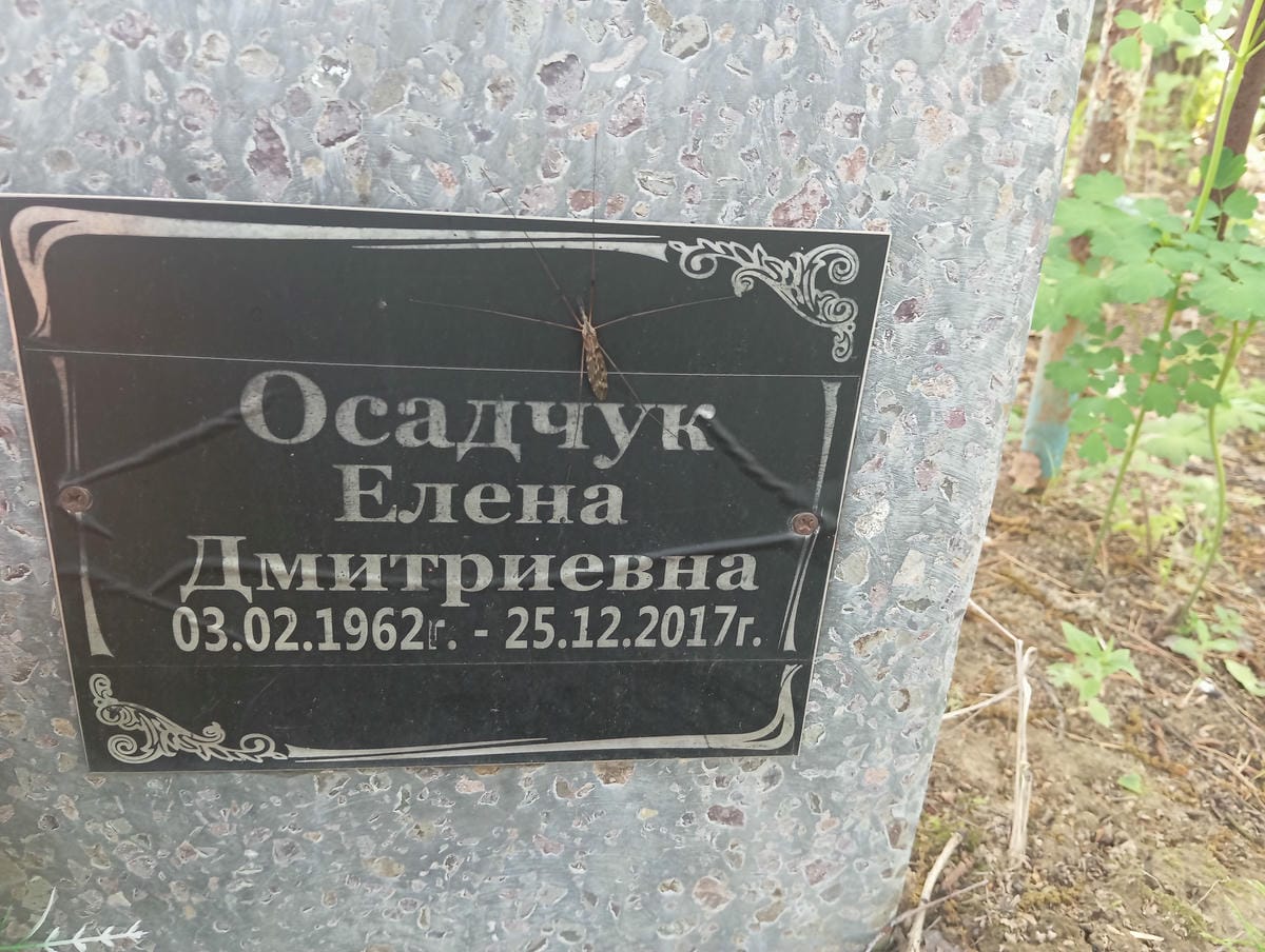 Осадчук Елена Дмитриевна