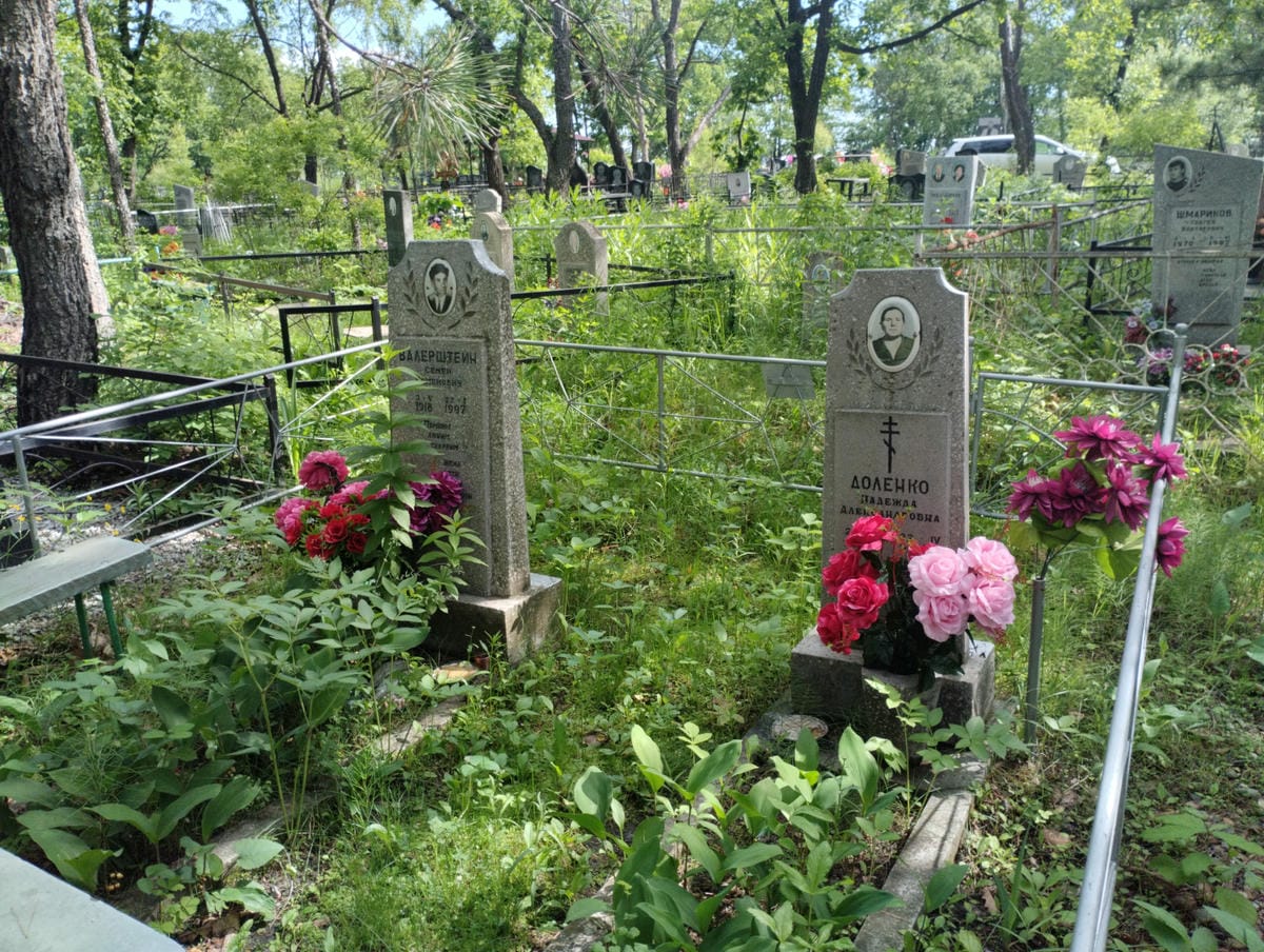 20522228-613c-469f-b282-1b6501d420c0 Доленко Надежда Александровна