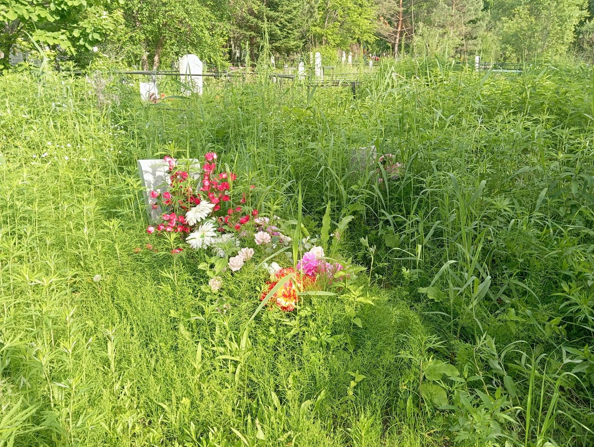 Краснова Галина Дмитриевна