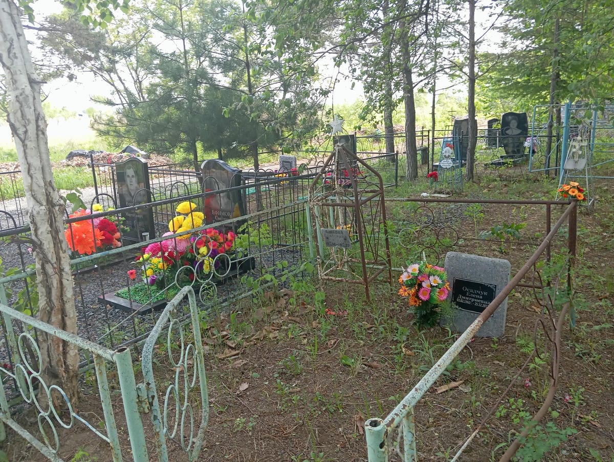 Осадчук Елена Дмитриевна