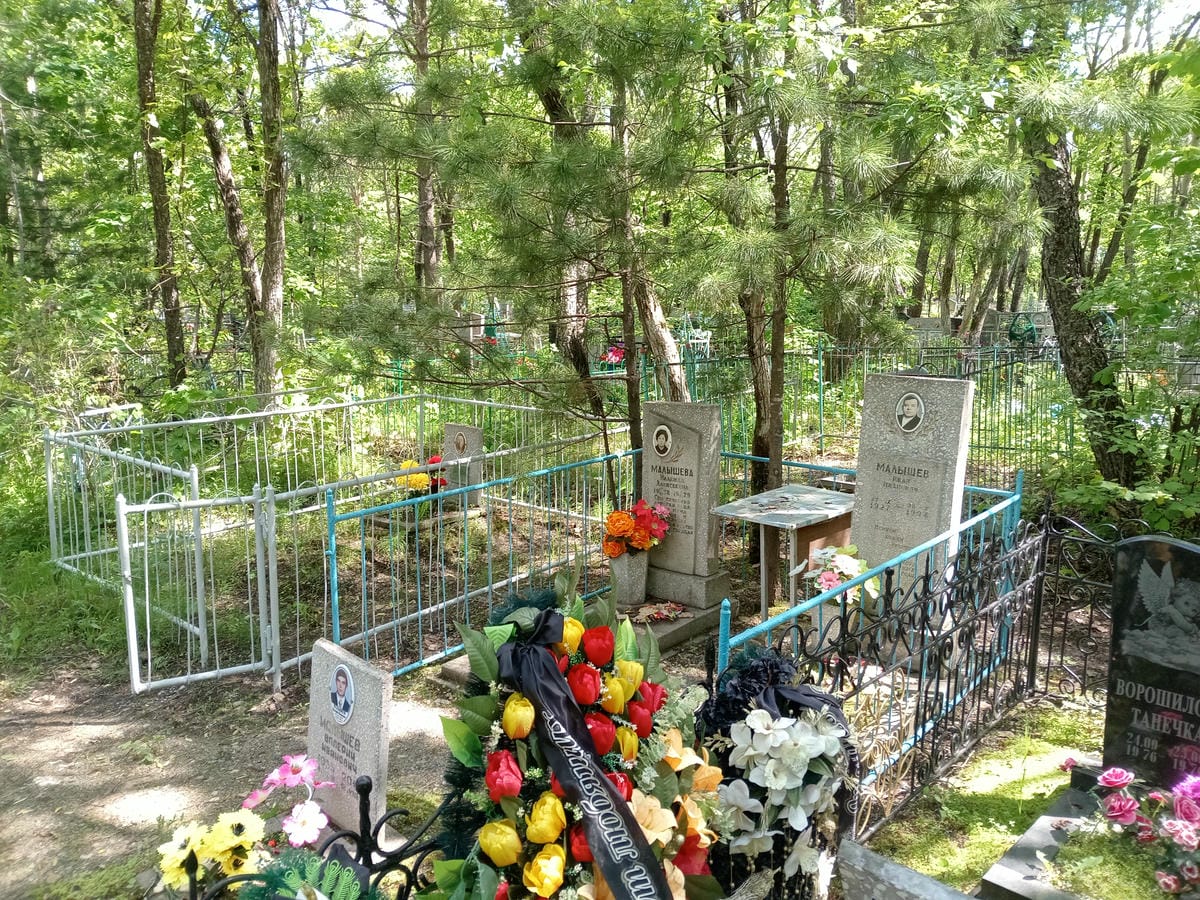 20e2a95e-28c2-42c9-9cce-9183cc83eb21 Малышева Надежда Алексеевна