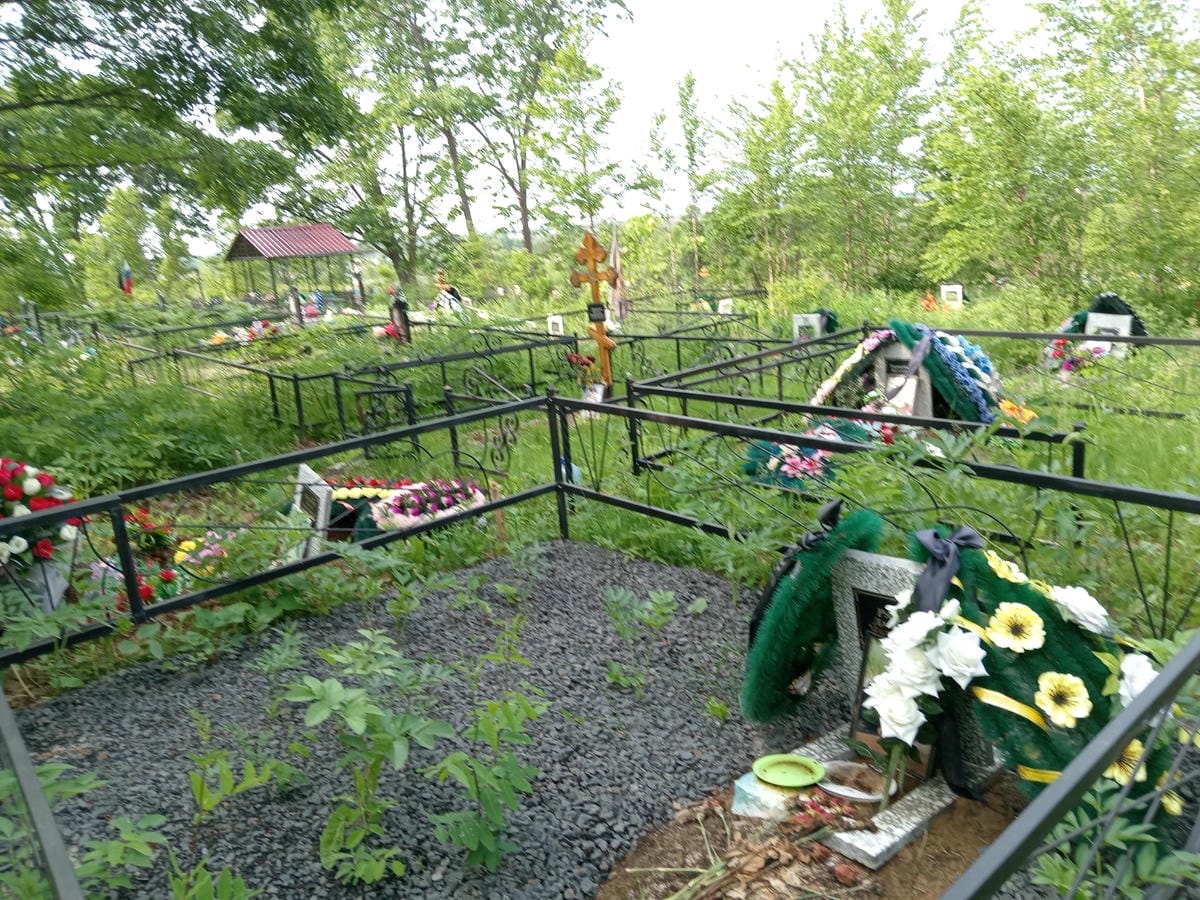 213a2531-3383-4760-a714-73177275c745 Рябцев Дмитрий Михайлович