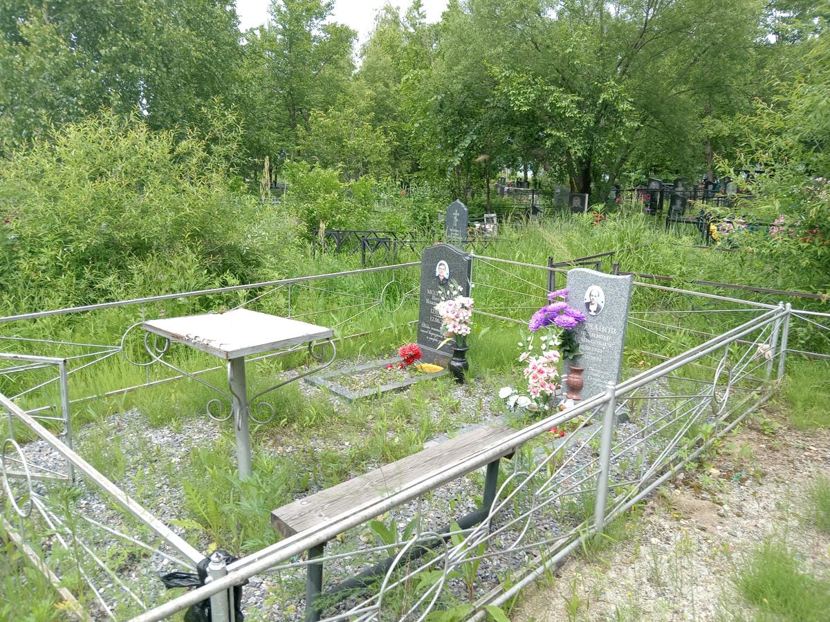2189c493-2997-4f87-a65a-cde92e1b0a50 Молчанов Владимир Денисович