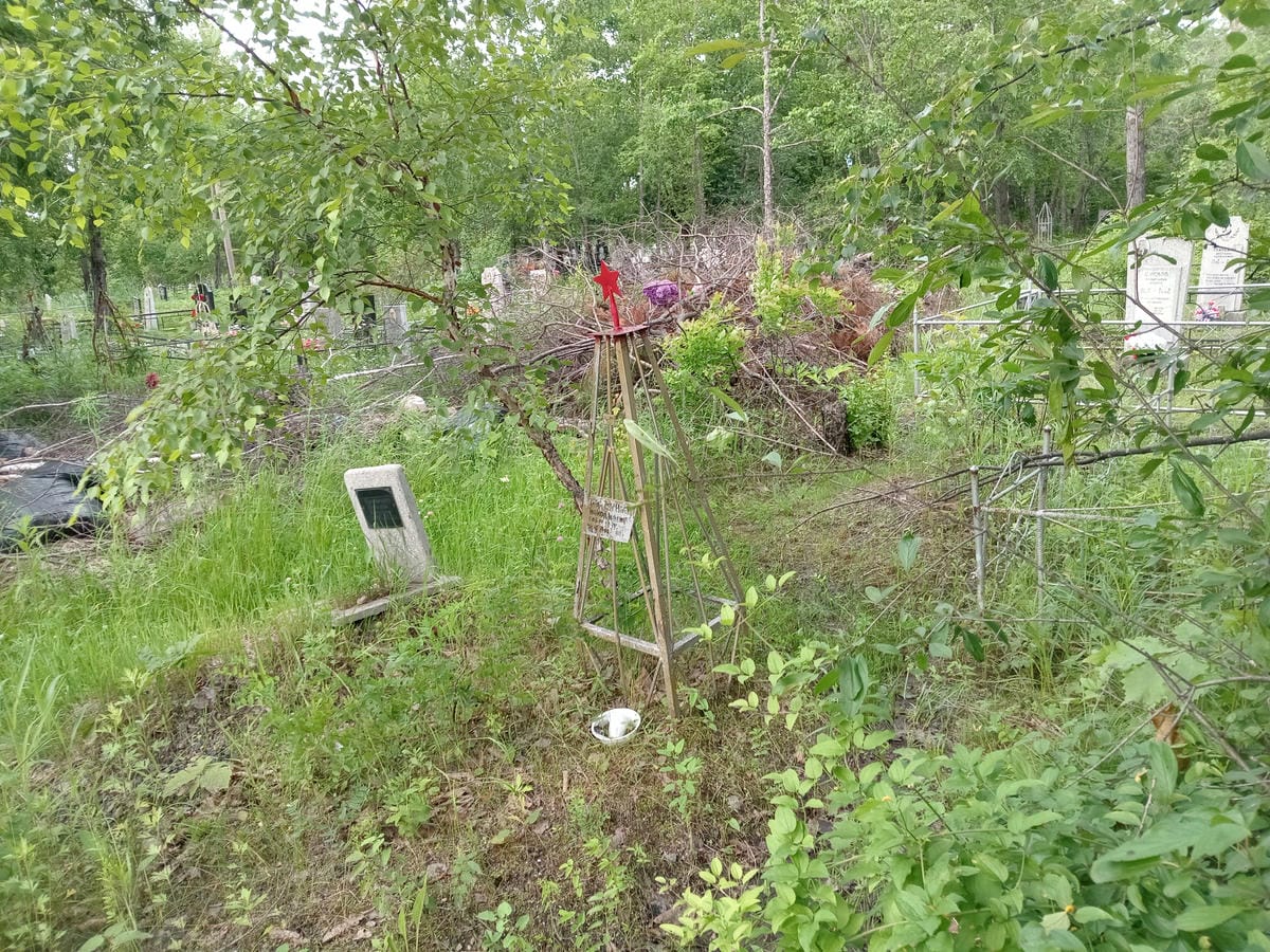 22636a61-5ee7-4905-9d98-3add92454f53 Толмачев Николай Неизвестно