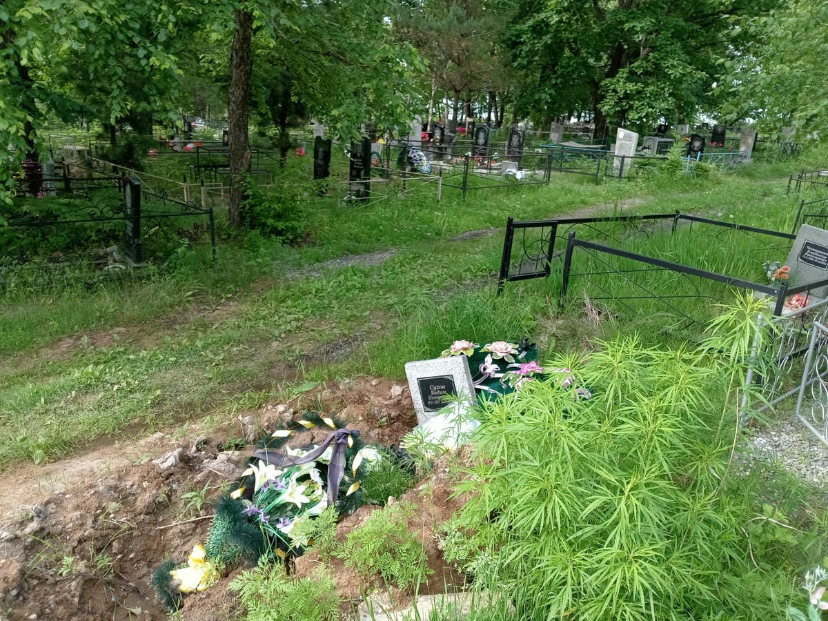 22f63303-dc42-4170-916a-80711035aa25 Сухов Вадим Петрович