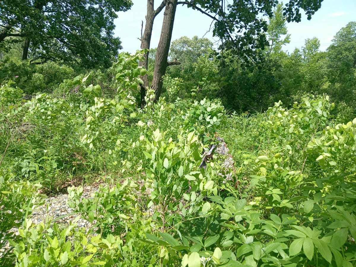 22f8f3ec-0c10-4104-ae8e-ade64cfe69d8 Корецкий Валерий Петрович