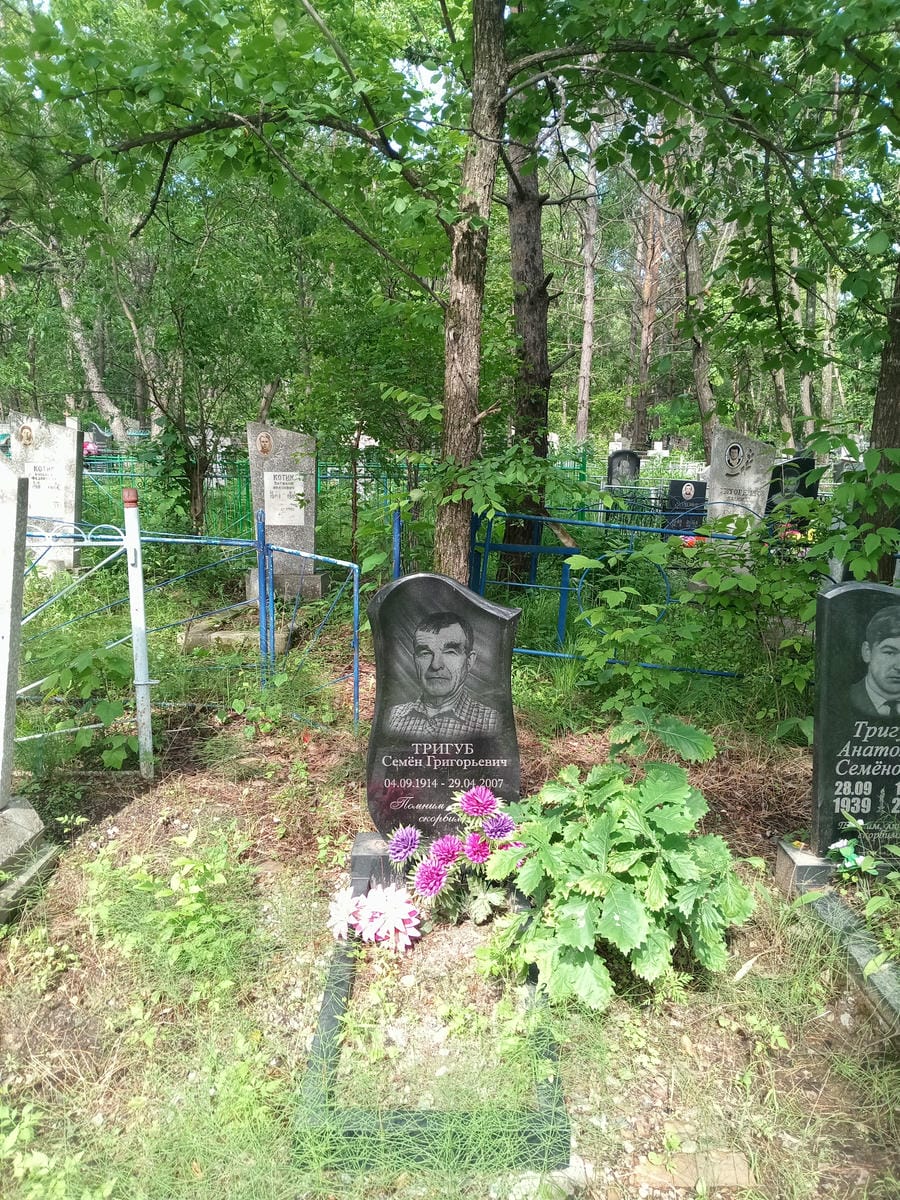 233bc4a8-a5ff-4765-a013-cf82aa65d3b5 Тригуб Семен Григорьевич