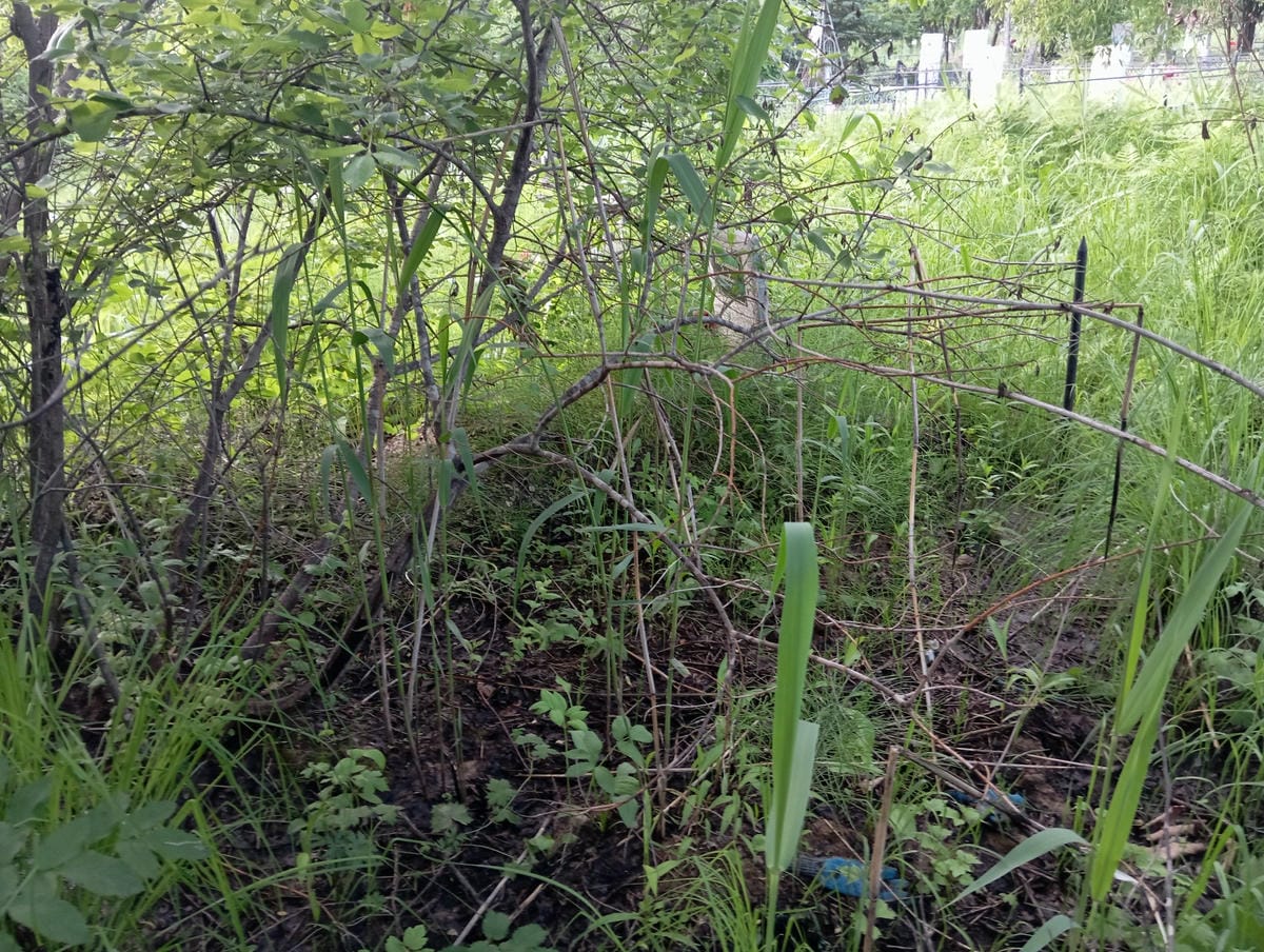 Камынин Николай Андреевич