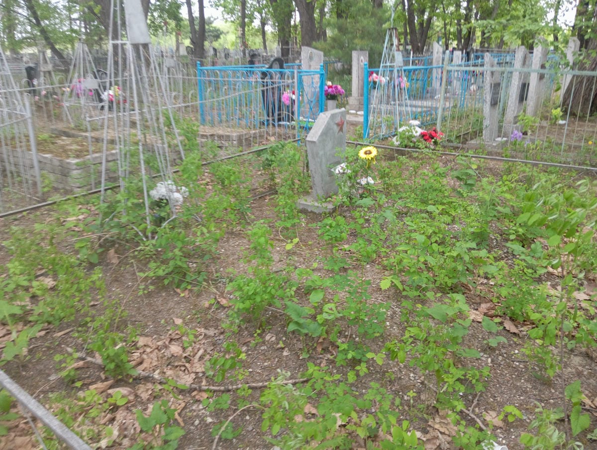 23b51cc4-2f84-47f3-80d4-cfac6fc87210 Полищенко Александр Олегович