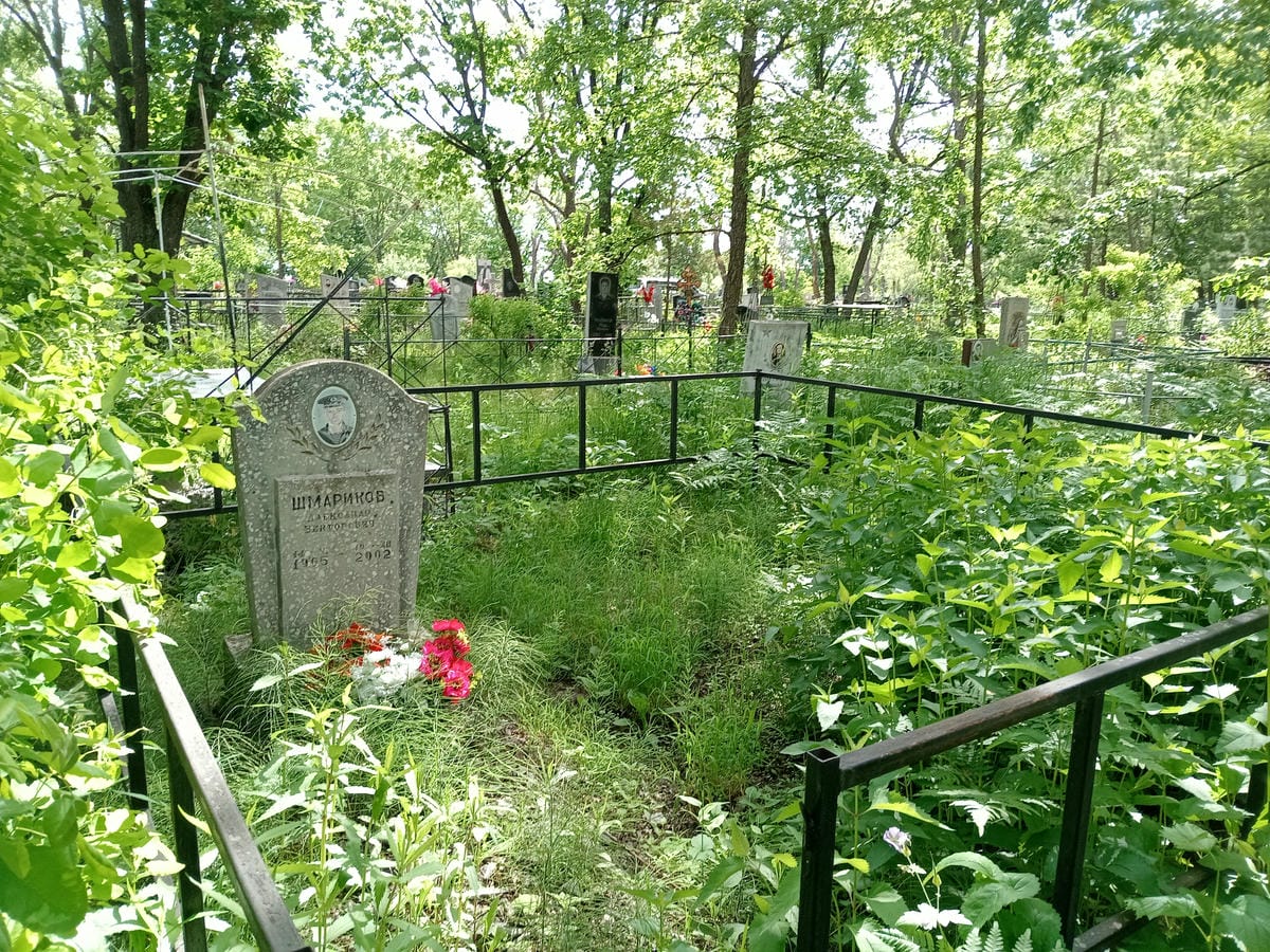 23e2608d-d900-4083-924d-139770e217f8 Шмариков Александр Викторович