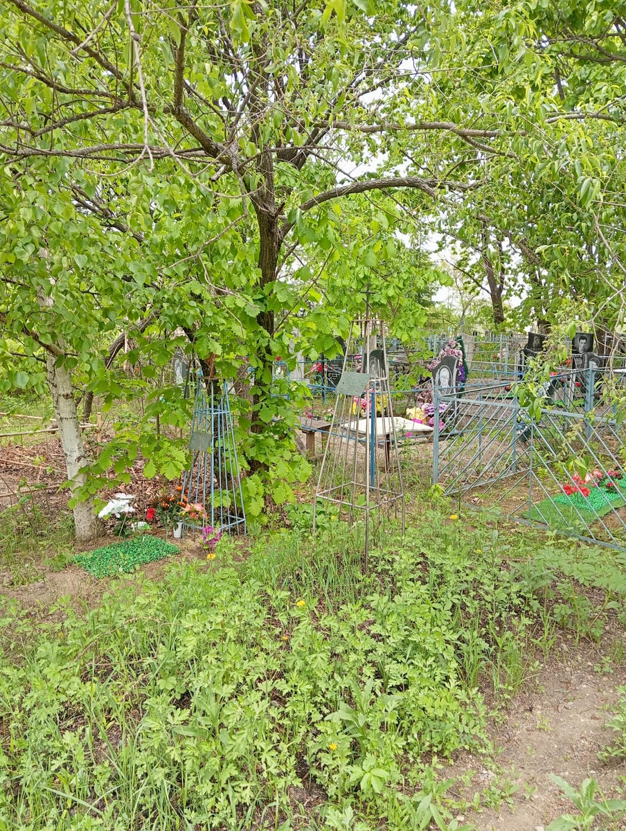 241c0bce-84d7-4844-aeab-57c044a71d06 Шоста Виктор Иванович