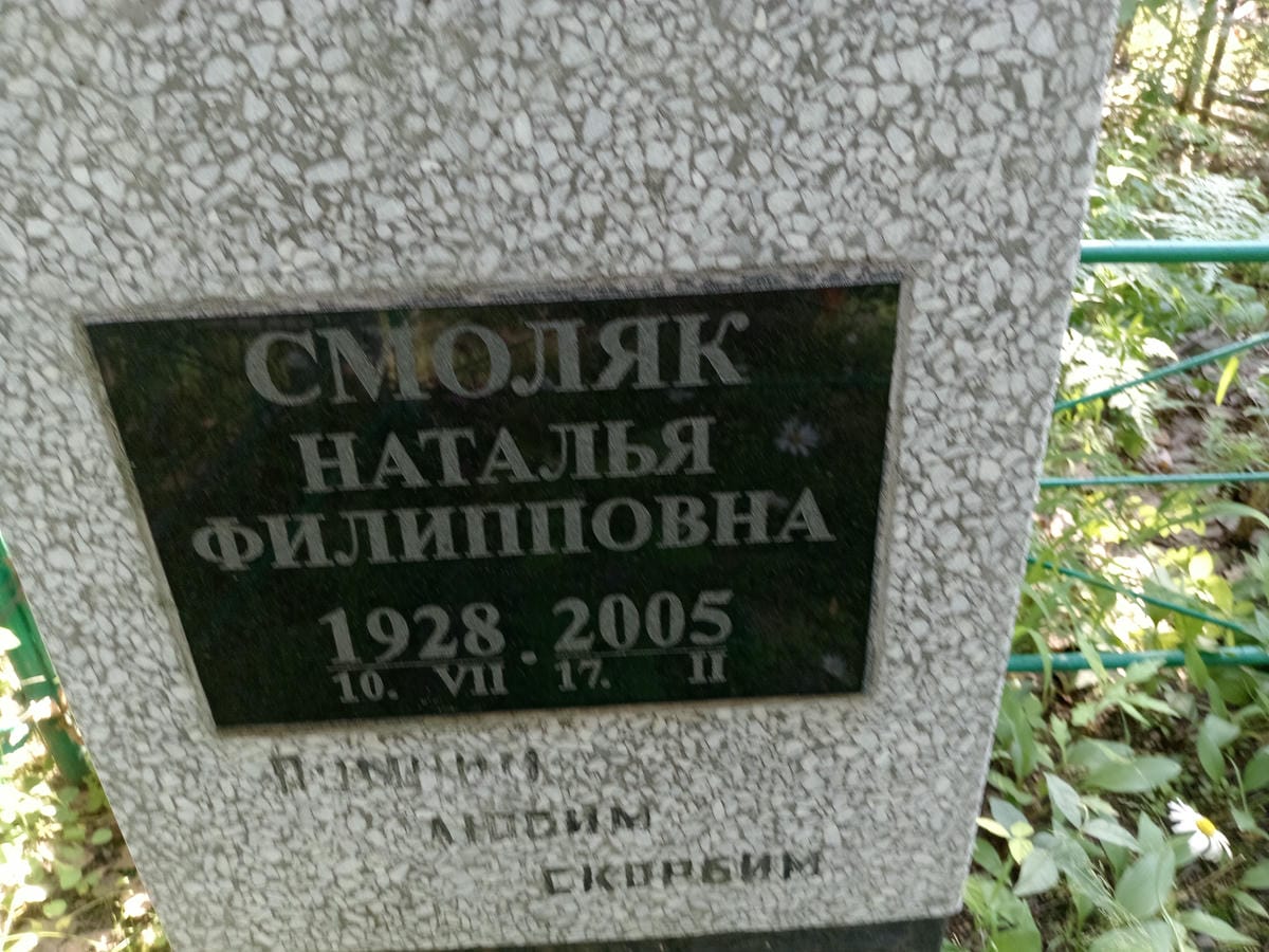 2433e567-0ad7-466b-bd5a-fc1dda77d9c9 Смоляк Наталья Филипповна