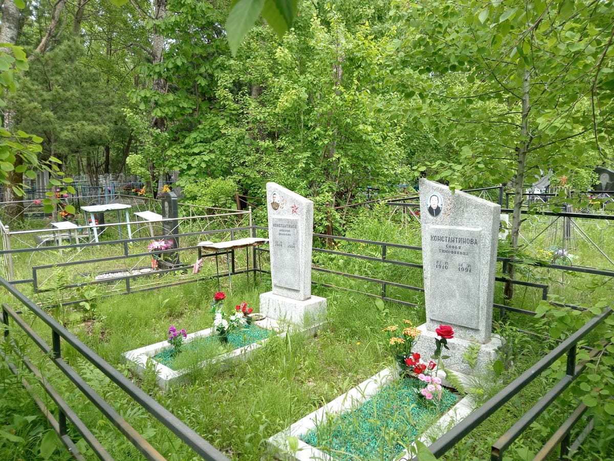 24ec88cc-6315-4b72-b90b-f3902eceabfe Константинов Дмитрий Иванович