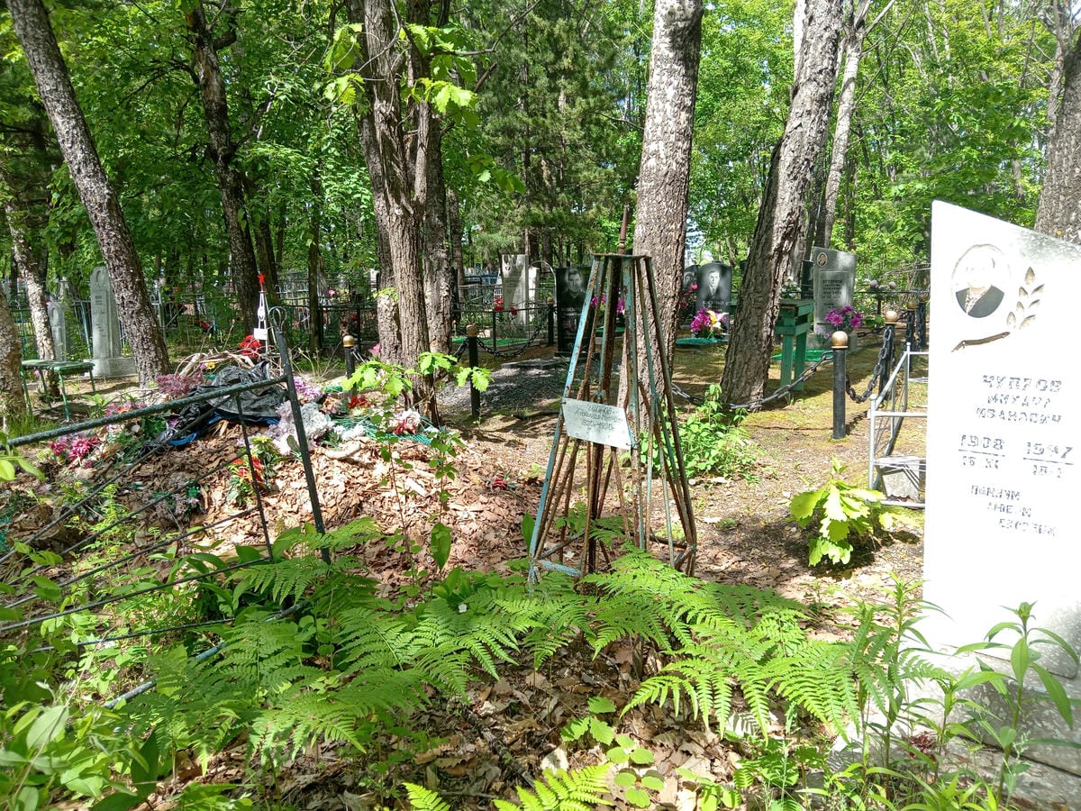 Чупров Александр Михайлович