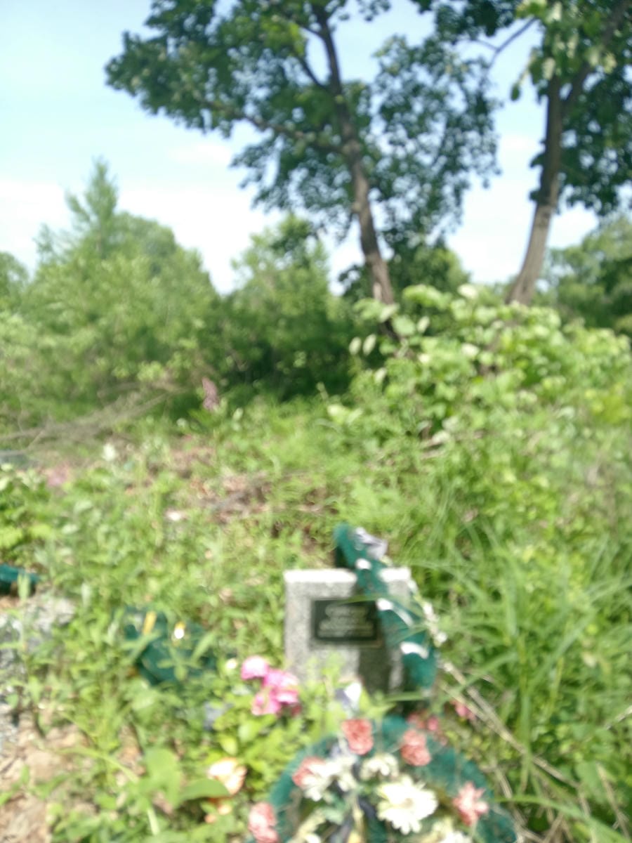 Сингур Лариса Федоровна