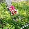 Гандышева Прасковья Мироновна