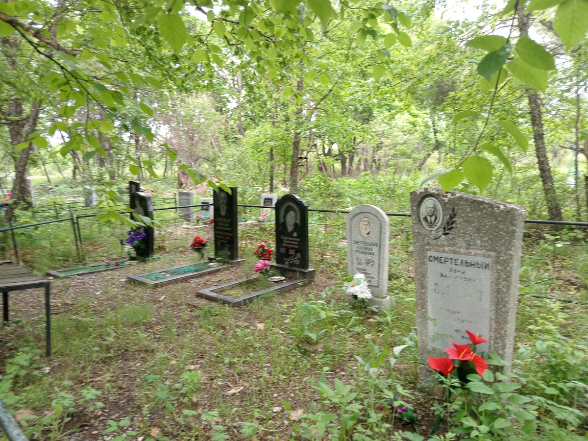 26a5298f-da3f-445d-b6a6-3c43550dc0be Стратилат Антонина Лазаревна