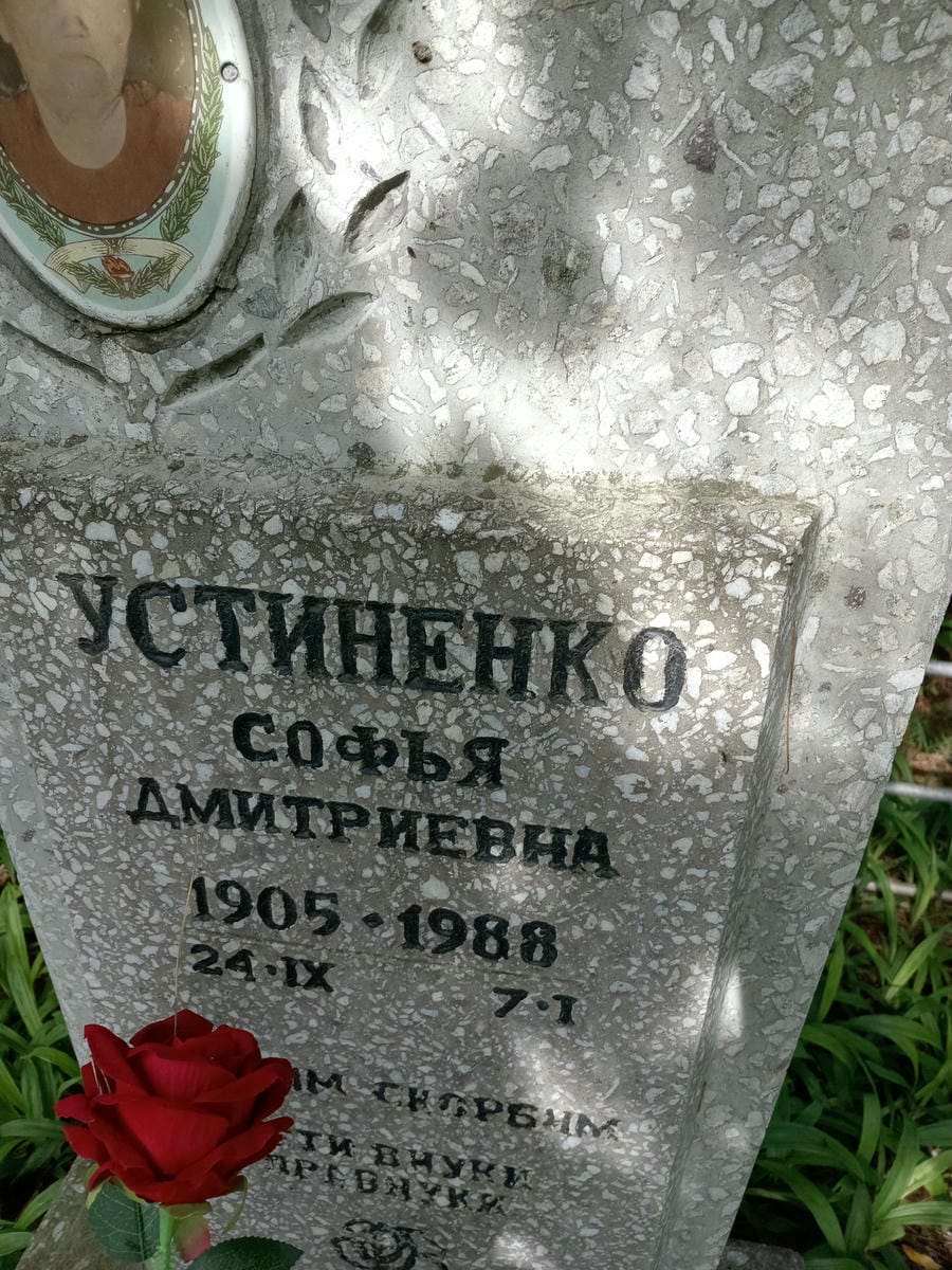 2762f2e6-c85d-463e-8790-d4cb22243f3d Устиненко Софья Дмитриевна