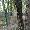 Лебедев Андрей Арестович