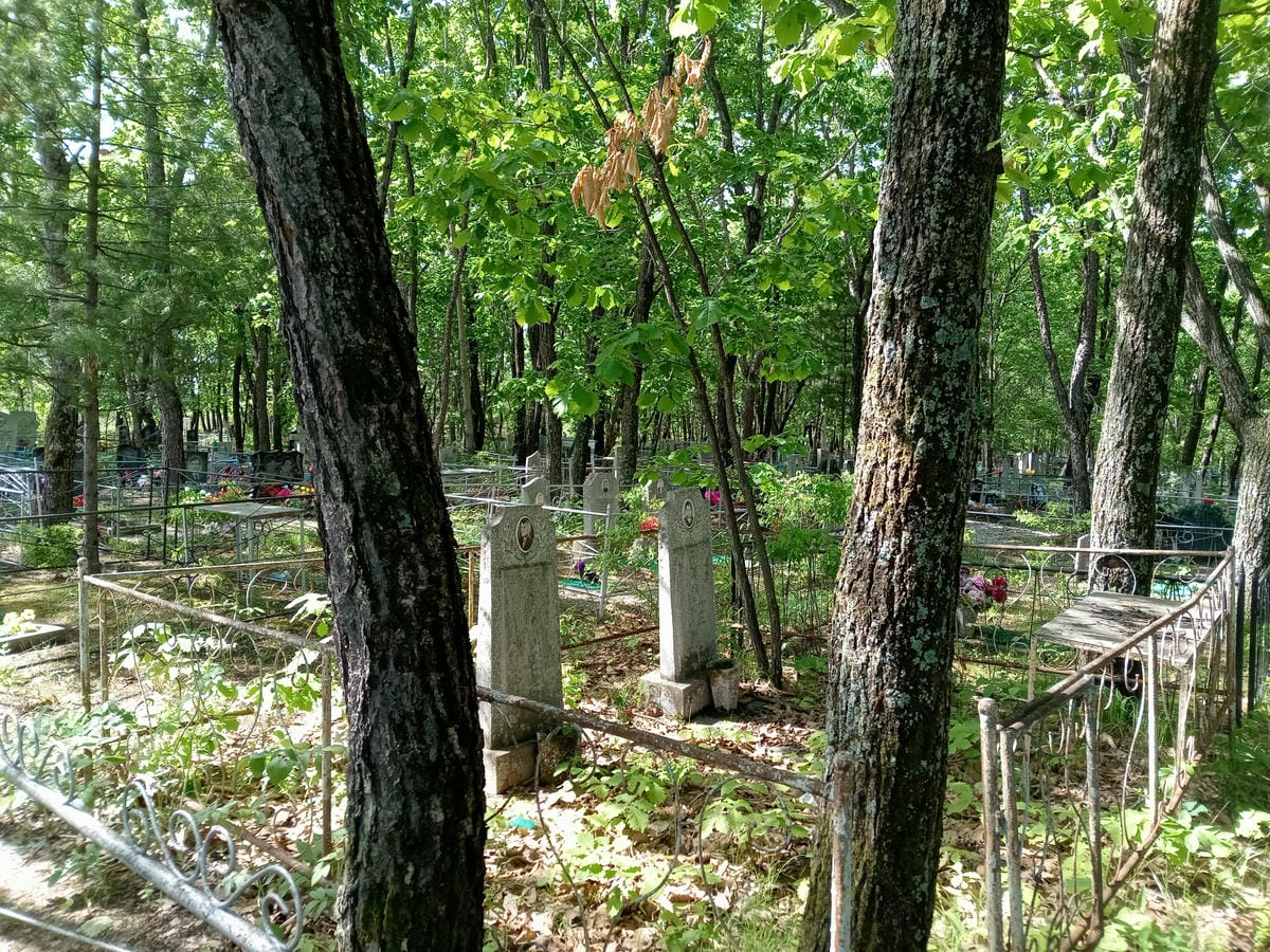 27dff3bd-ba1e-4167-a232-d354e7653c15 Пировский Михаил Неизвестно