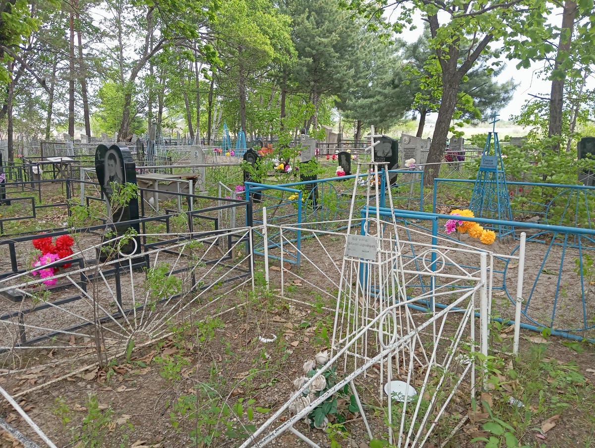 Шевлякова Наталья Стефановна