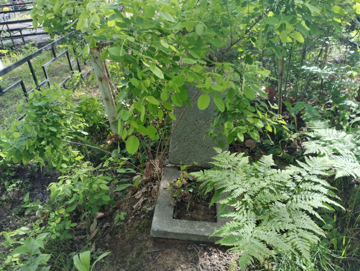 27fd9203-6474-4c35-bc01-6f753809ab5f Неизвестно Неизвестно Неизвестно