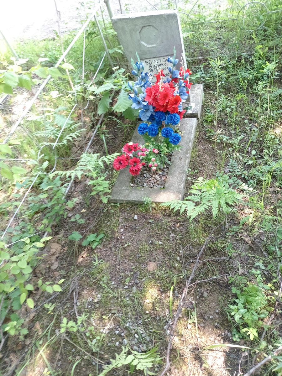 Болотов Владимир Петрович