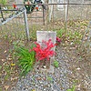 Макшанова Наталья Николаевна