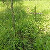 2b3f3b95-5a32-4e9a-927c-9ca61e439029 Неизвестно Неизвестно Неизвестно