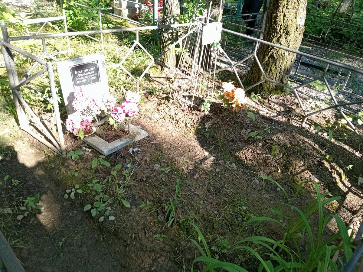 Волошина Людмила Владимировна