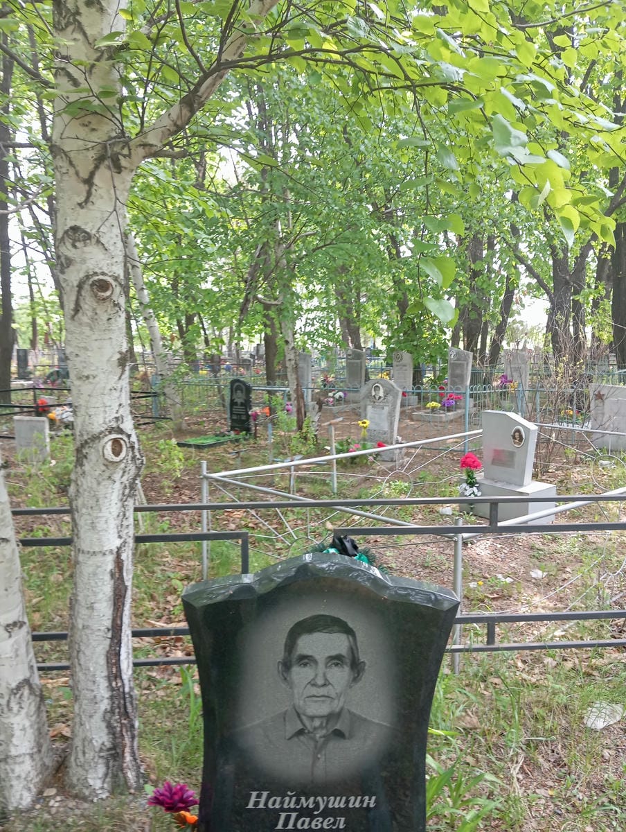 2bf0c9f1-2389-488d-b160-8847d04fa6e8 Наймушин Павел Парфильевич