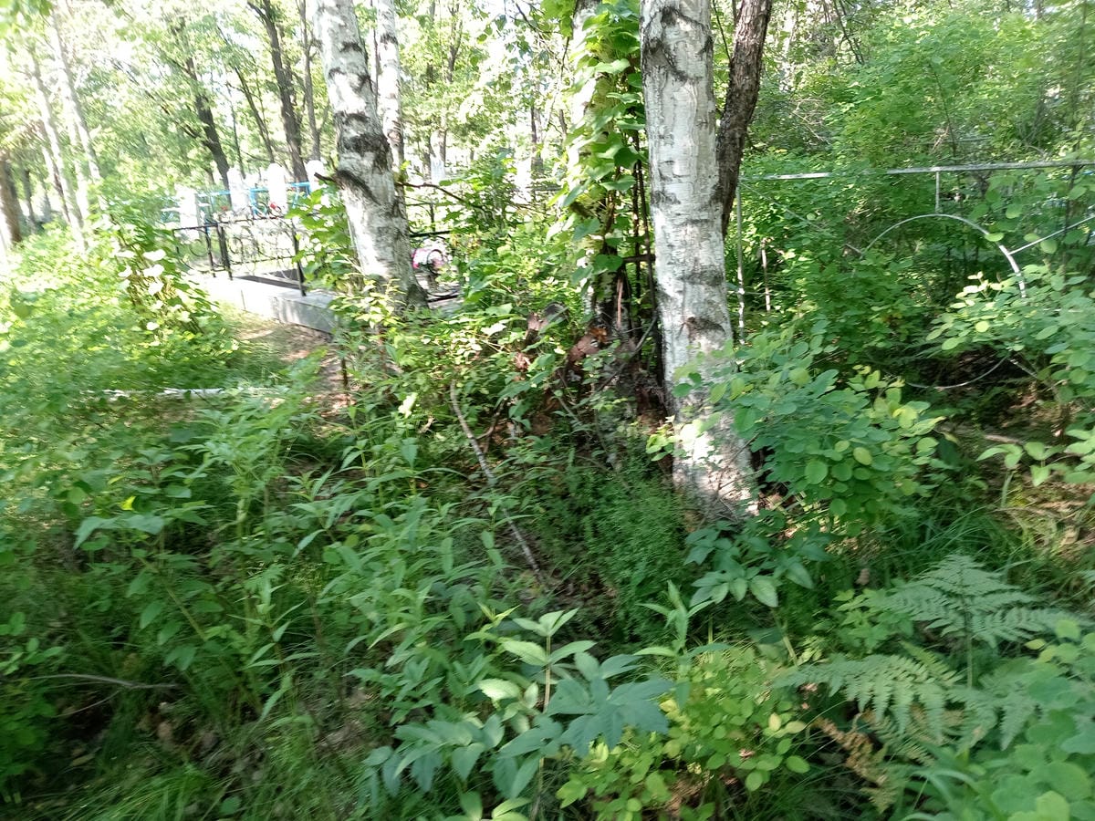 2c95be94-3ba8-42b1-bb11-7aeb464b3420 Неизвестно Неизвестно Неизвестно