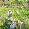 Тиханов Алексей Александрович