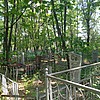 Волнов Алексей Юрьевич