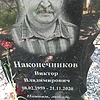 Наконечников Виктор Владимирович