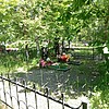 Штефан Евгений Николаевич