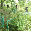 Крыловец Владимир Иванович