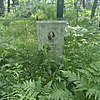Цветков Николай Александрович