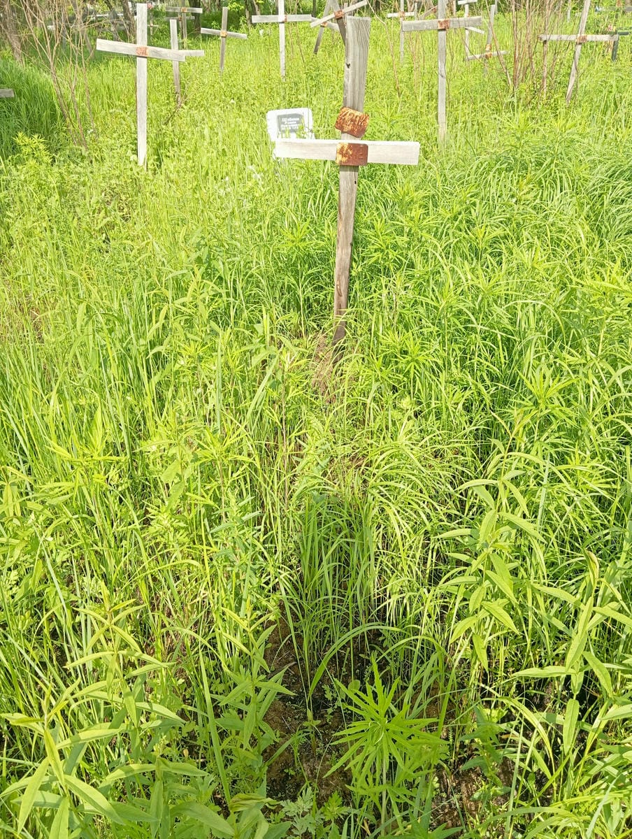 Неизвестно Неизвестно Неизвестно