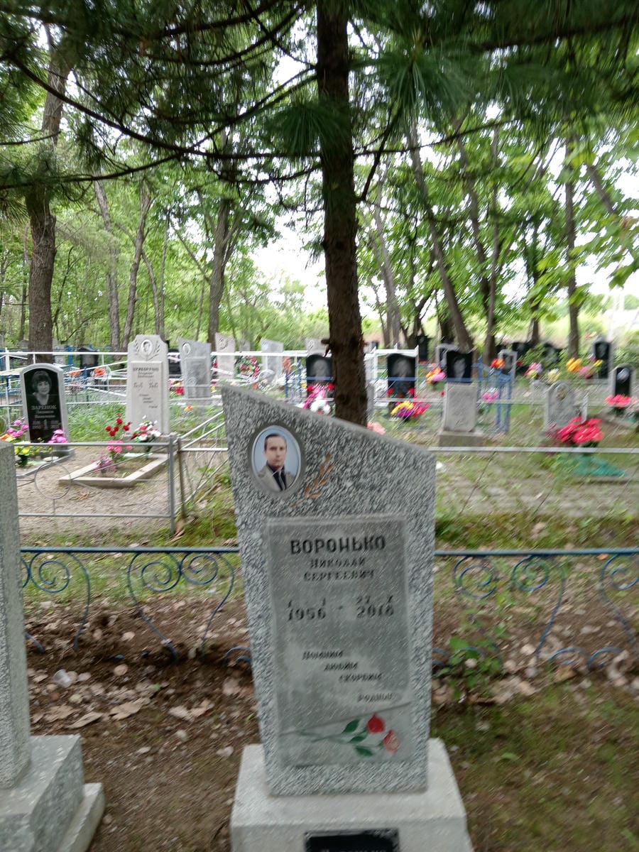 2f66d66d-98b4-41e6-a01b-2e9f4328a667 Воронько Николай Сергеевич